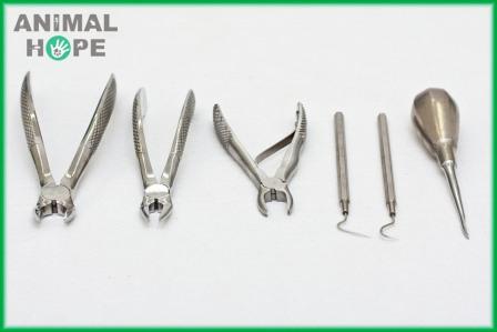 n�stroje na extrakci zub�