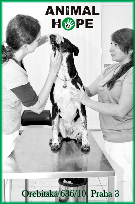 T��me se na v�s