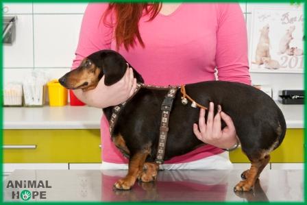 Fixace p�i b�n�m vy�et�en�