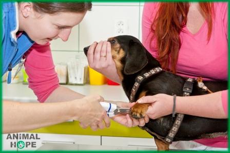 Fixace p�i s��h�n� dr�pk�