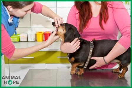 Fixace p�i vy�et�en� dutiny �stn�