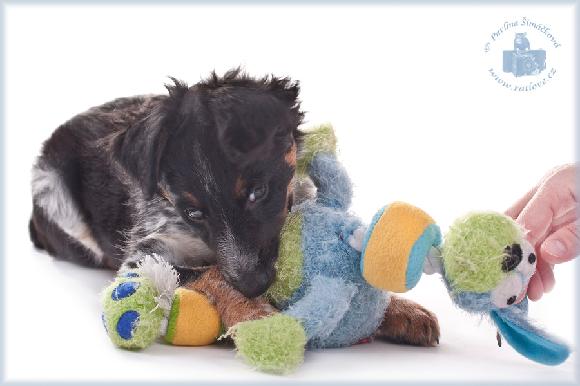 �t�n� s hra�kou