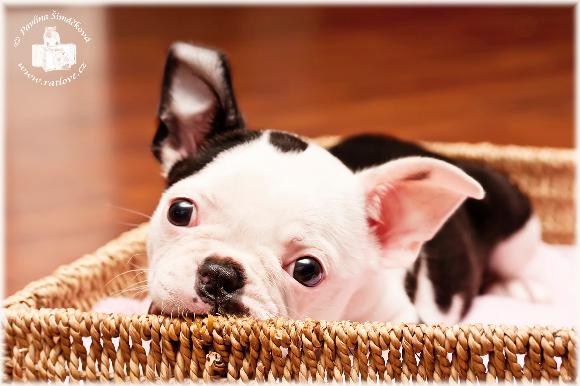 �t�n� v ko��ku