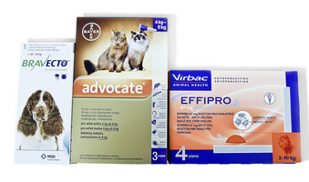 P��pravky proti blech�m