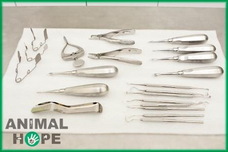 N�stroje pro �pravu chrupu hlodavc�