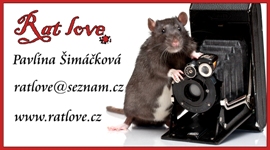 Rat love