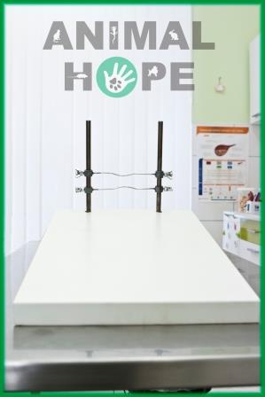 Stolek pro �pravu dentice hlodavc� a kr�l�k�