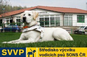 St�edisko v�cviku vodic�ch ps�