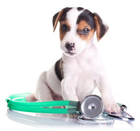 Na probl�mu se pracuje